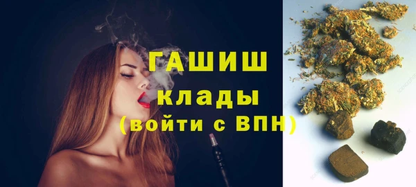 шишки Верея