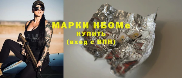 шишки Верея