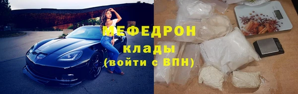 шишки Верея