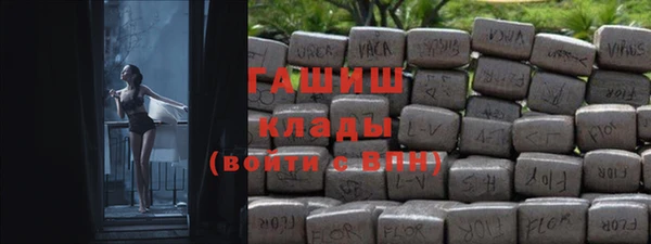 шишки Верея