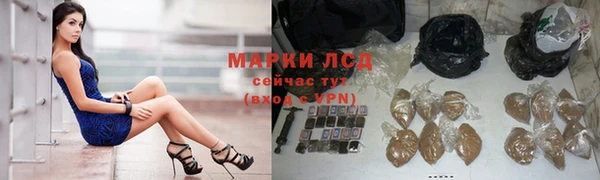 ПСИЛОЦИБИНОВЫЕ ГРИБЫ Верхний Тагил