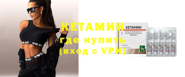 шишки Верея