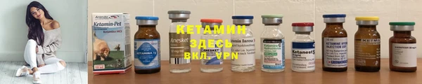 шишки Верея