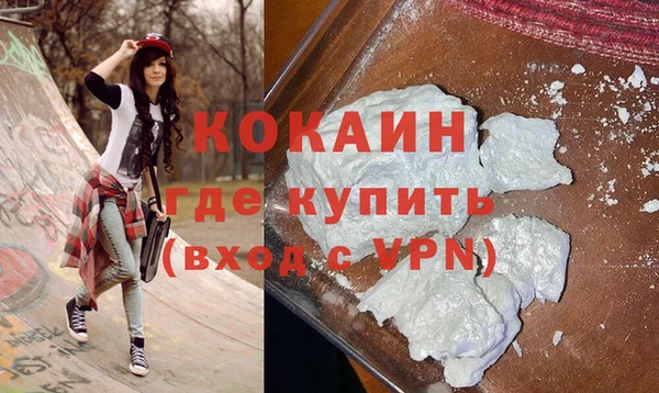 шишки Верея