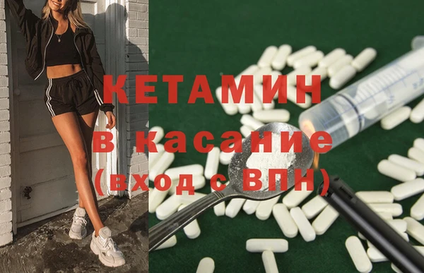 шишки Верея