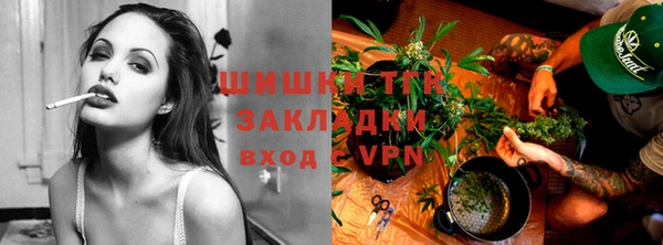 шишки Верея