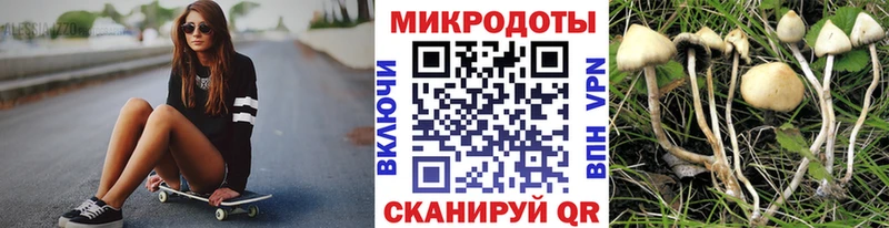 Галлюциногенные грибы ЛСД купить Оха